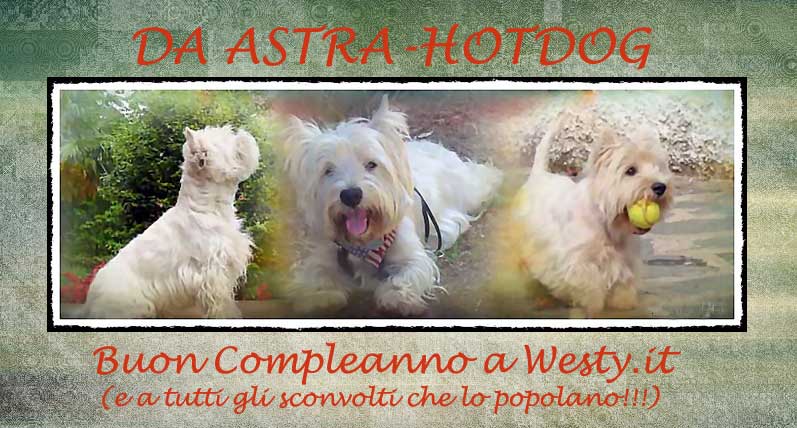 http://www.westie.it/compleannoforum14.jpg